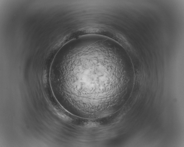 X0000081300549200701111427