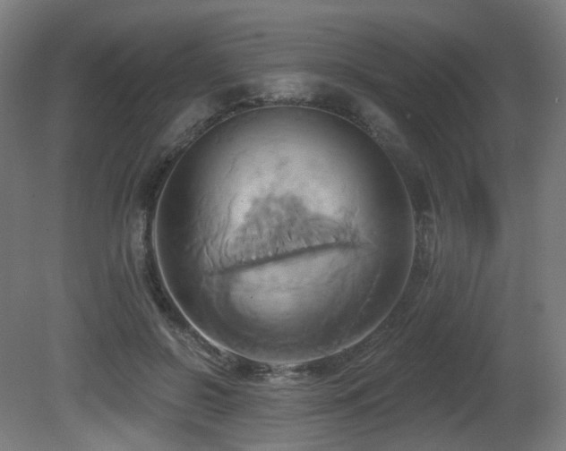 X0000081300550200701111427