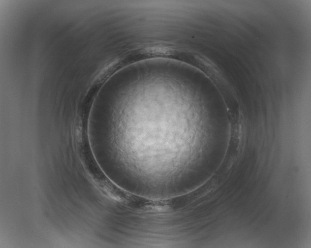 X0000081300552200701111427