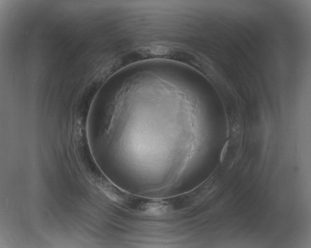 X0000081300555200701111427