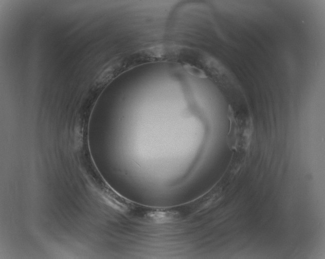 X0000081300558200701111427