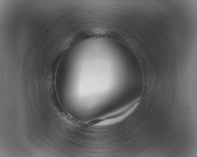 X0000081300559200701111427