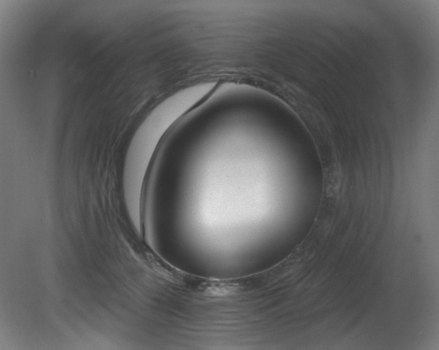 X0000081300560200701111427