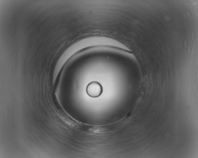X0000081300564200701111427