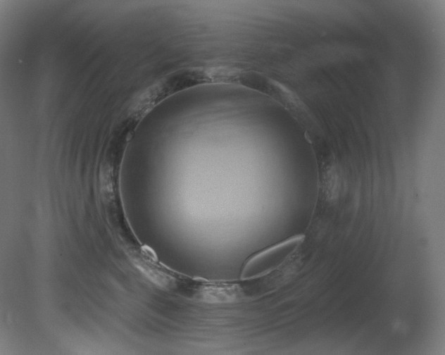 X0000081300571200701111428
