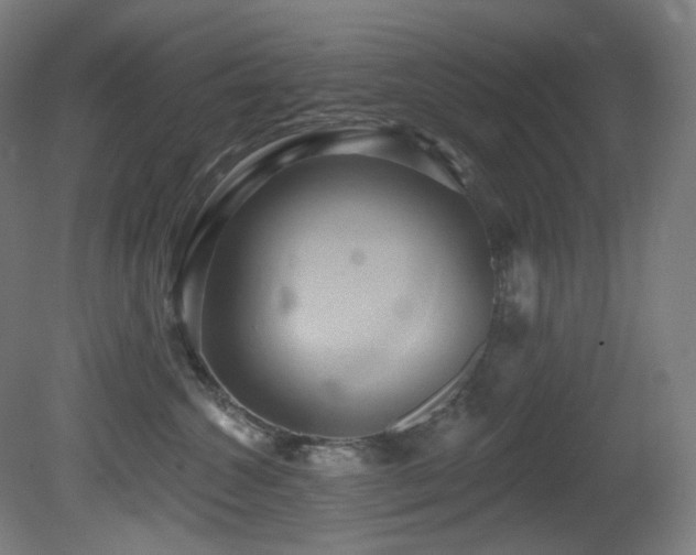 X0000081300572200701111428
