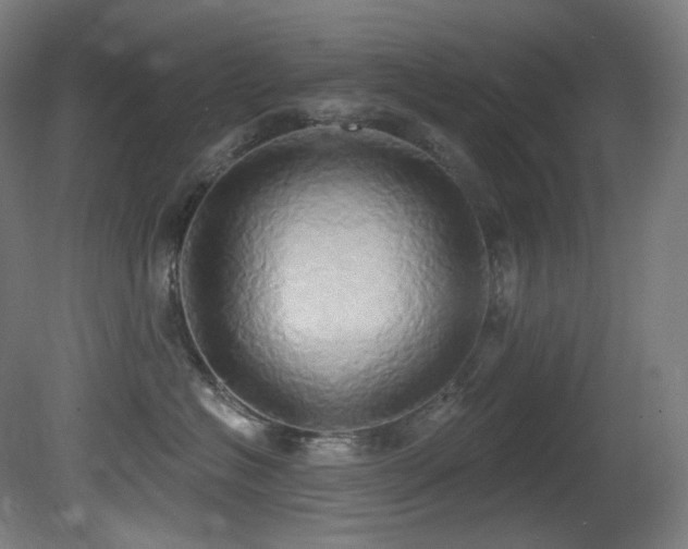 X0000081300574200701111428