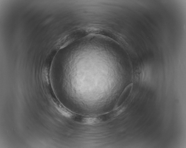 X0000081300575200701111428