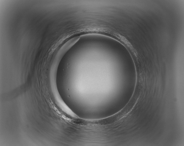 X0000081300577200701111427