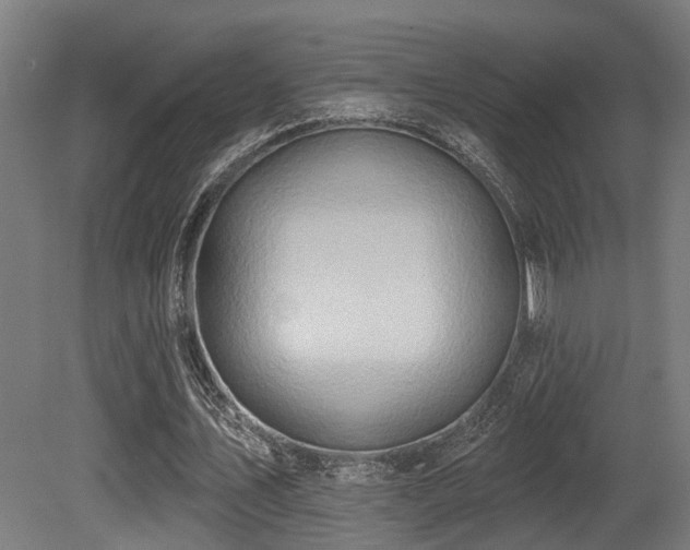 X0000081300579200701111427