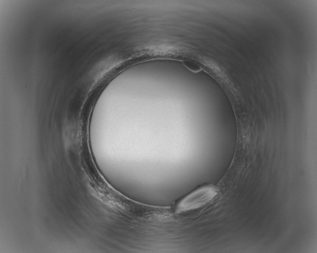 X0000081300583200701111427
