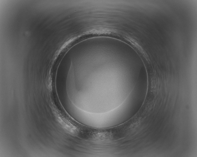 X0000081300584200701111427