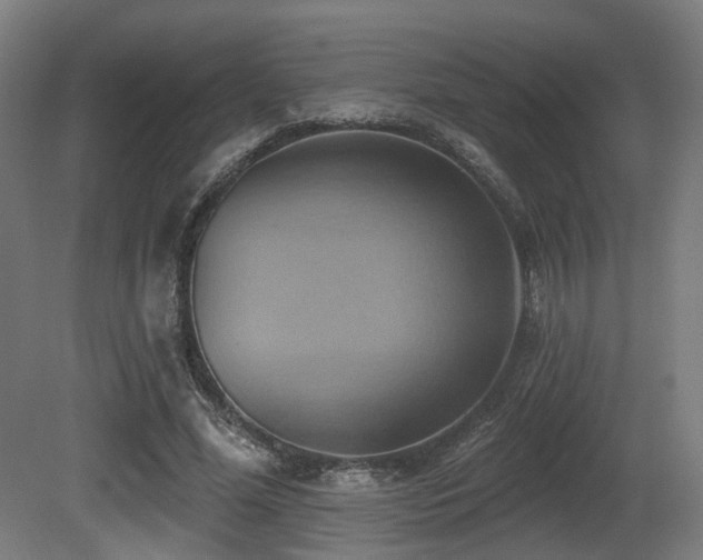 X0000081300588200701111427