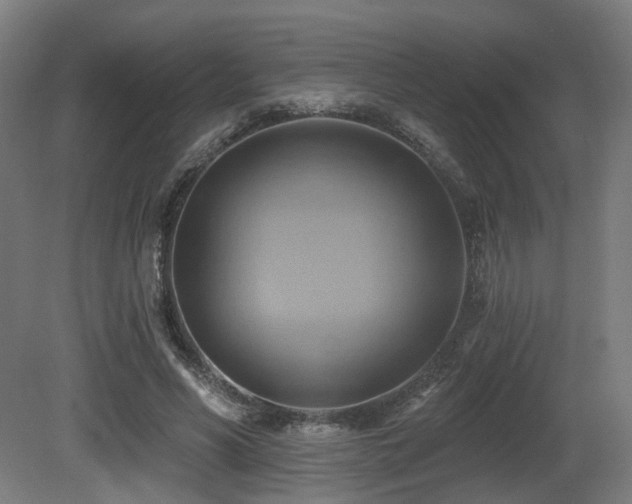 X0000081300590200701111427