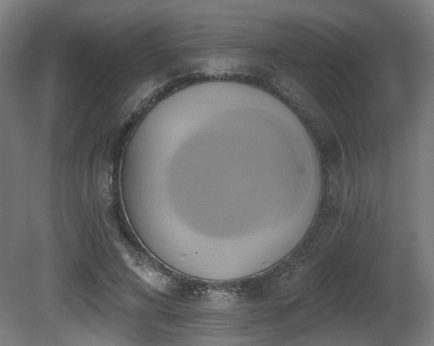 X0000081300592200701111427