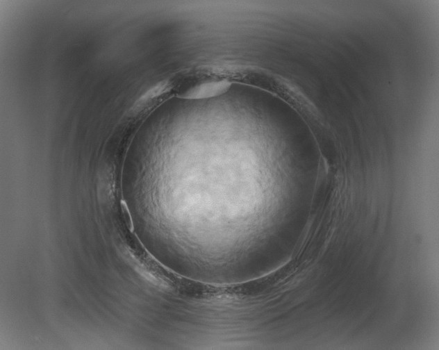 X0000081300593200701111427