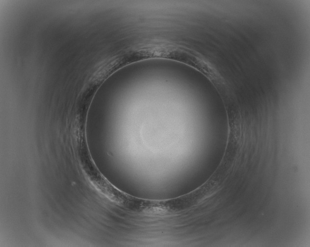 X0000081300594200701111427