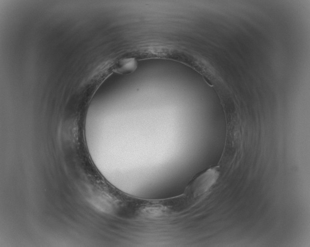 X0000081300595200701111427