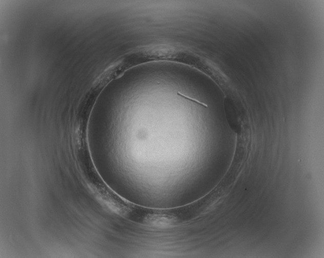 X0000081300597200701111427