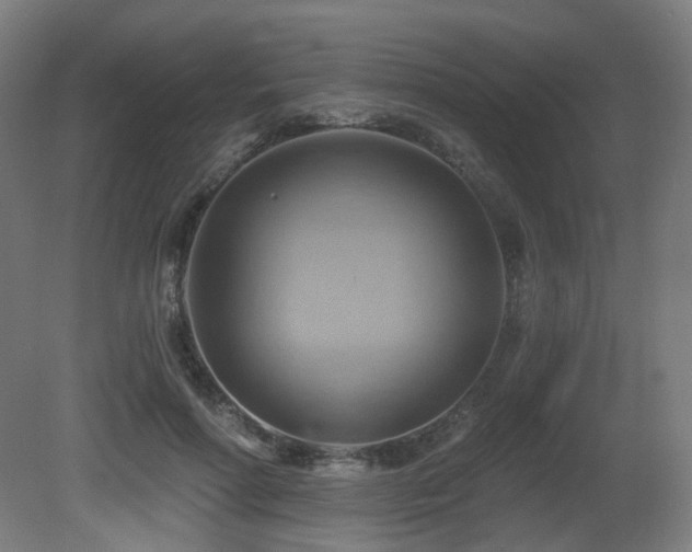X0000081300598200701111427