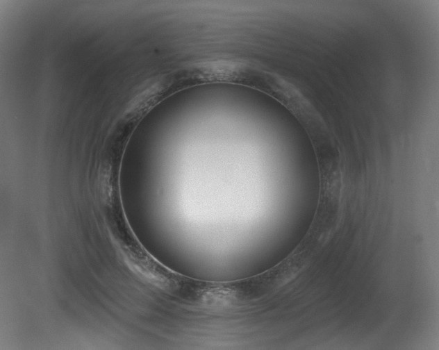 X0000081300599200701111426