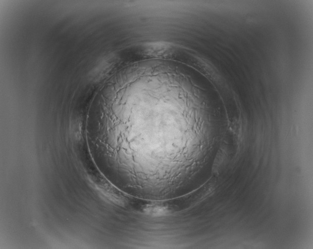 X0000081300602200701111426