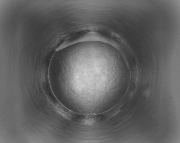 X0000081300604200701111426
