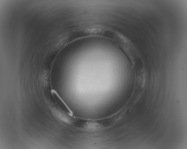 X0000081300605200701111426