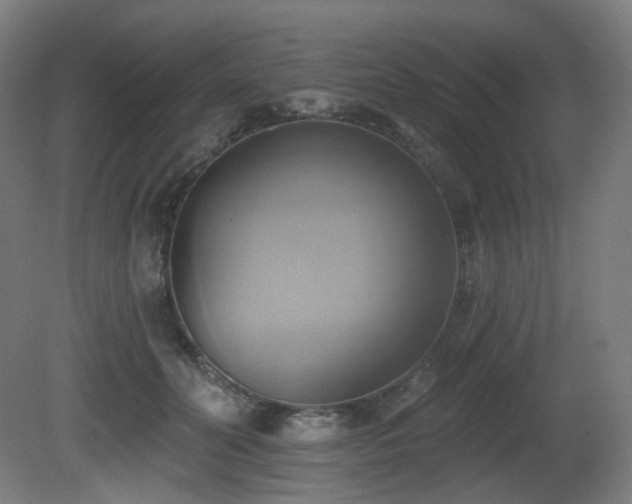 X0000081300606200701111426