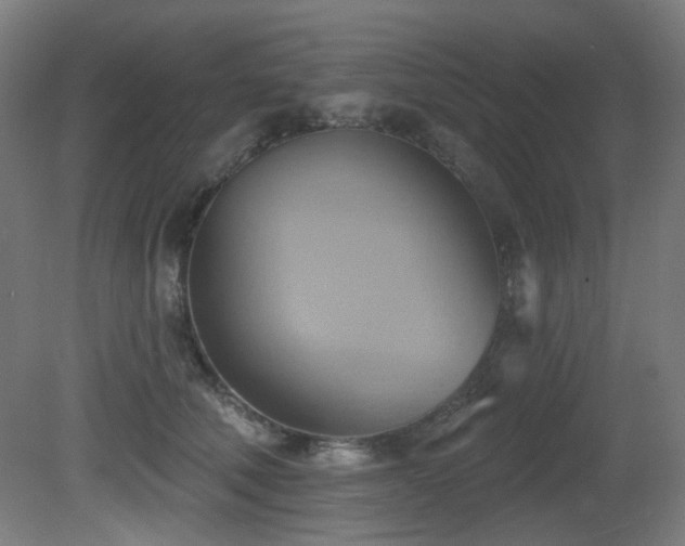 X0000081300610200701111426