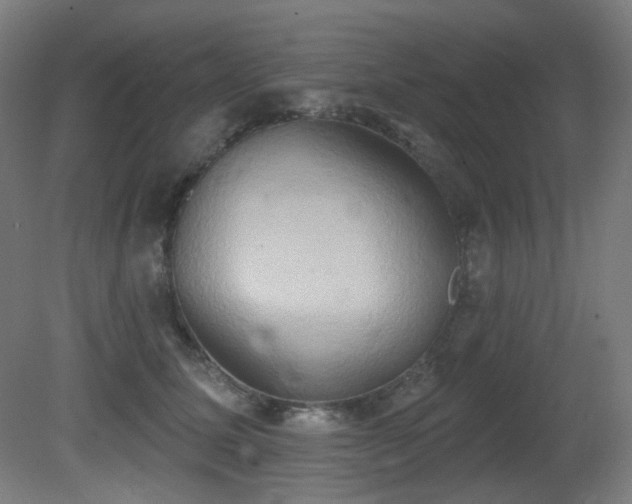 X0000081300611200701111426