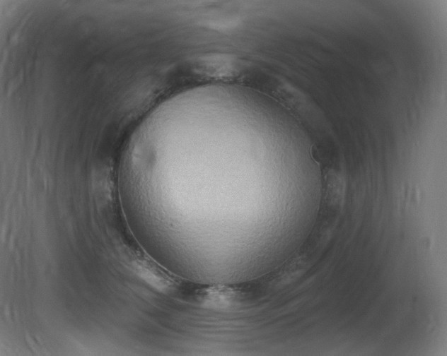 X0000081300612200701111426