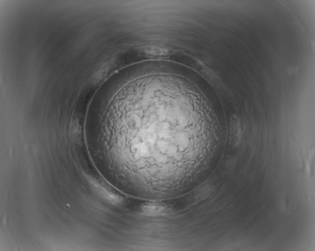 X0000081300614200701111426