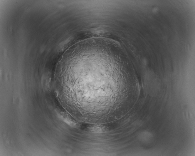 X0000081300615200701111426