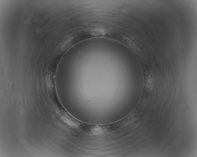 X0000081300616200701111426