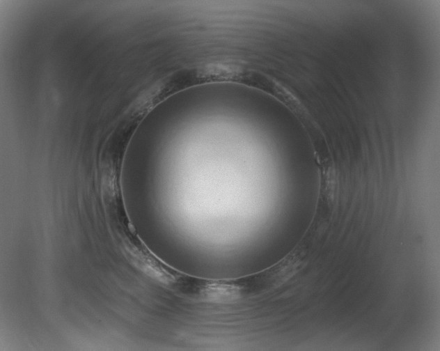 X0000081300617200701111426