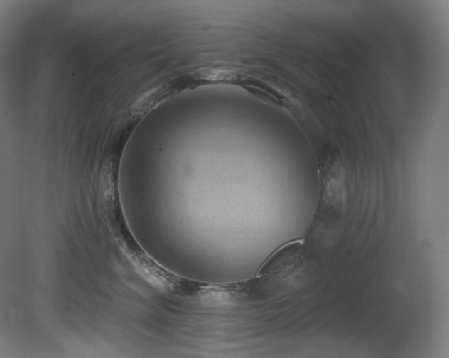 X0000081300620200701111426