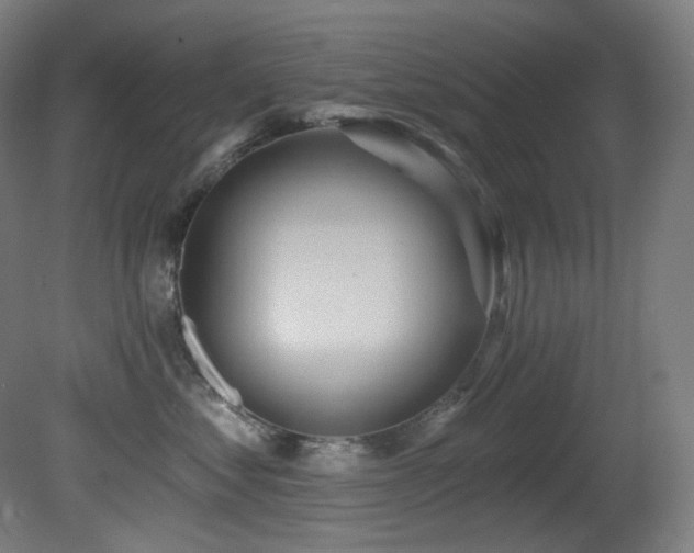 X0000081300621200701111426