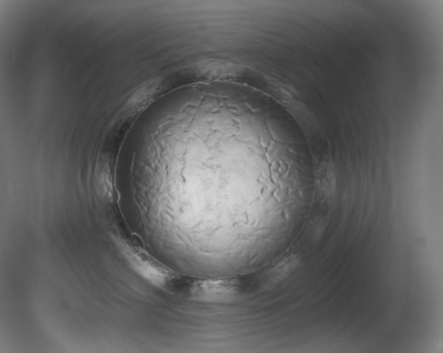 X0000081300622200701111426