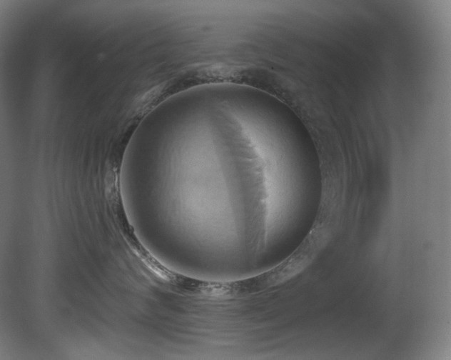 X0000081300624200701111426