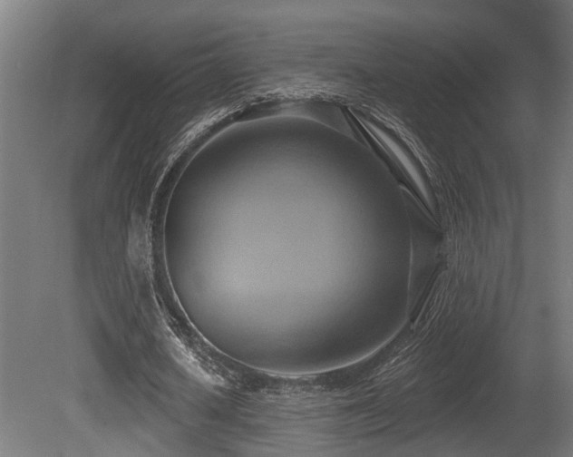 X0000081300626200701111425