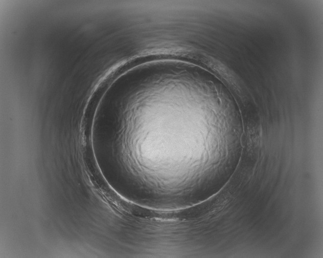 X0000081300628200701111425