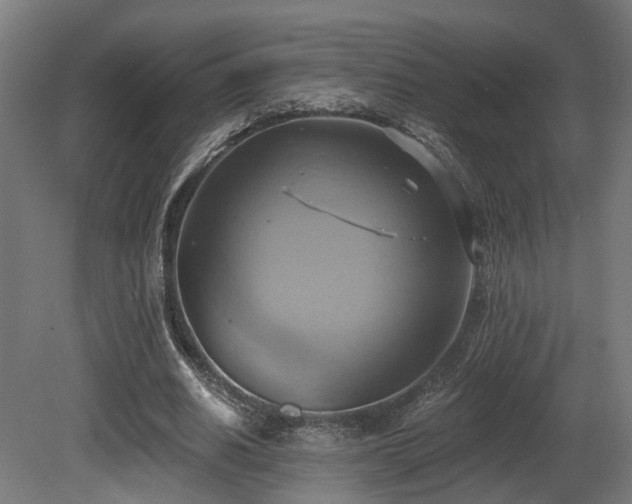 X0000081300630200701111425