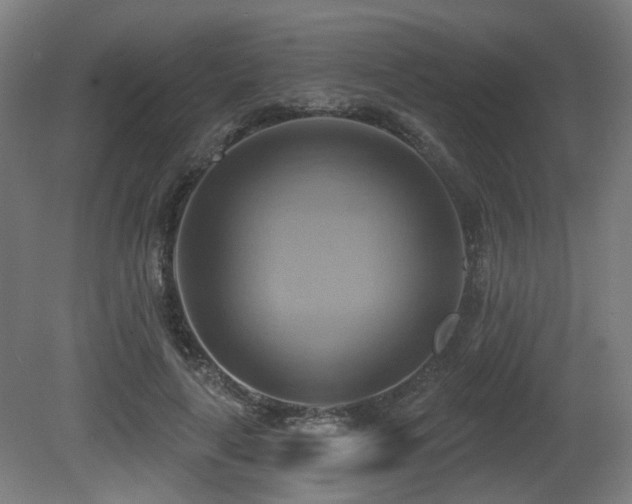X0000081300643200701111426