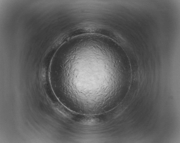 X0000081300646200701111426