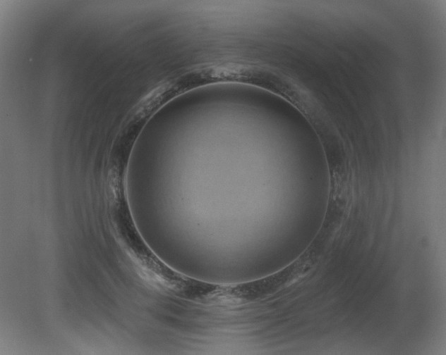 X0000081300648200701111426