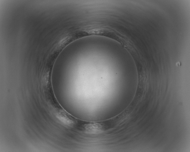 X0000081300652200701111426