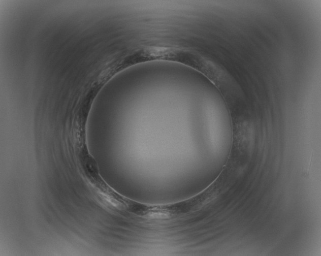 X0000081300653200701111426