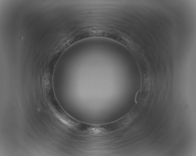 X0000081300654200701111426