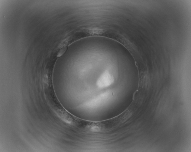 X0000081300655200701111426